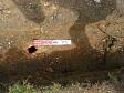 A 19th century brick drain recorded during a watching brief  © Norfolk Museums & Archaeology Service