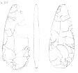 Bronze Age flint dagger blade from Blofield  © Norfolk Museums & Archaeology Service