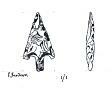 Beaker period barbed and tanged flint arrowhead from Brundall  © Norfolk Museums & Archaeology Service