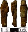 Early Saxon wrist clasp 3 from NHER 25765  © Norfolk County Council