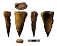 Bronze Age bone awl from NHER 3257  © Norfolk County Council