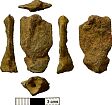 Late Saxon strap-end miscast from NHER 28498  © Norfolk County Council