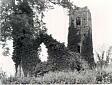 The ruins of St Martin's Church, Shotesham.  © Norfolk County Council