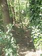Anti-Tank Ditch at TG274100.  © C. Kolonko