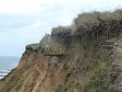 A Second World War concrete plinth eroding from the cliff face  © R. Yeomans