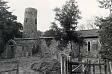 The ruins of St Theobalds' Church, Great Hautbois.  © Norfolk Museums & Archaeology Service