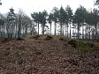 Bronze Age Round Barrow, Howe's Hill  © Sheringham Park Volunteers