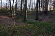 Possible extraction pits in Oak Wood, Sheringham Park  © Sheringham Park Volunteers
