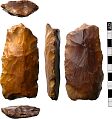 Neolithic polished axe head from NHER 40488  © Norfolk County Council