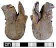 Medieval ampulla from NHER 28744  © Norfolk County Council
