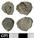 Post-medieval cloth seal from NHER 30059  © Norfolk County Council