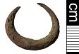 Late Saxon ear ring from NHER 39566  © Norfolk County Council