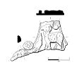 Drawing of a Roman patera handle from NHER 9082  © Norfolk County Council