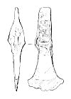 Drawing of a Middle Bronze Age palstave from NHER 20979  © Norfolk County Council