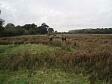The earthworks of the deserted medieval village of Bittering  © Norfolk Museums & Archaeology Service