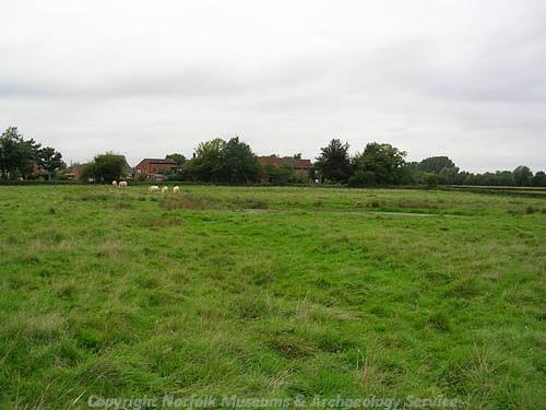 Earthworks of a medieval moated site in Mattishall