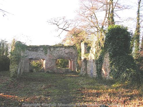 Photograph of the ruins of Trowse Newton Hall.