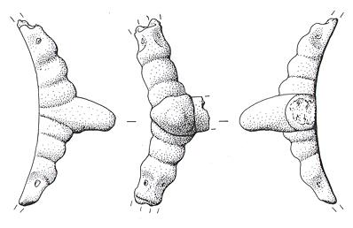 Drawing of a Late Saxon suspension unit from a balance found in Starston.