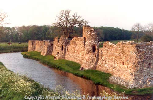 Baconsthorpe Castle walls.