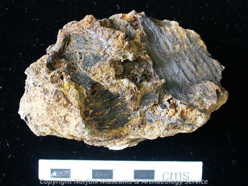 Smithing hearth bottom recovered from Great Yarmouth borehole